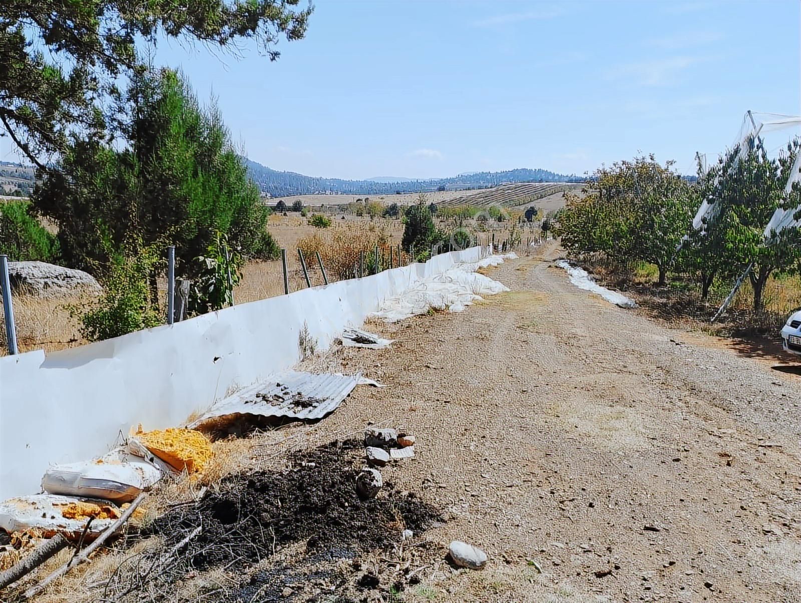 New Form'dan Toroslar Sadiye Mahallesi'nde Satılık 18300 M2tarla