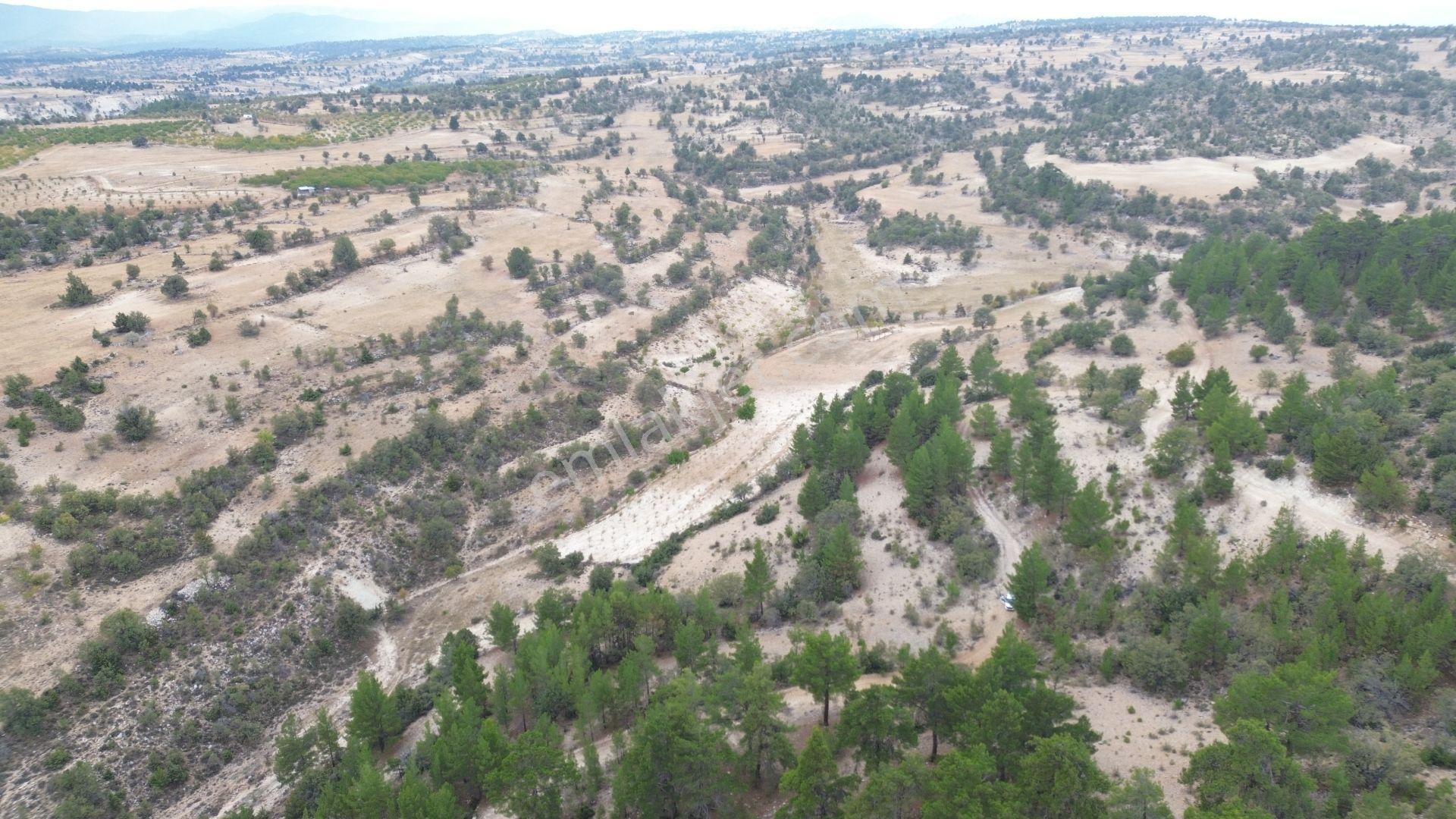 Karaman / Ermenek / Olukpınar Mahallesinde 2.444 M² Müstakil Tarla - Görsel 3