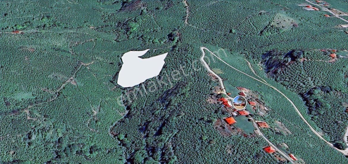 Ordu Altınordu Burhanettin'de Satılık Fındık Bahçesi - Görsel 3