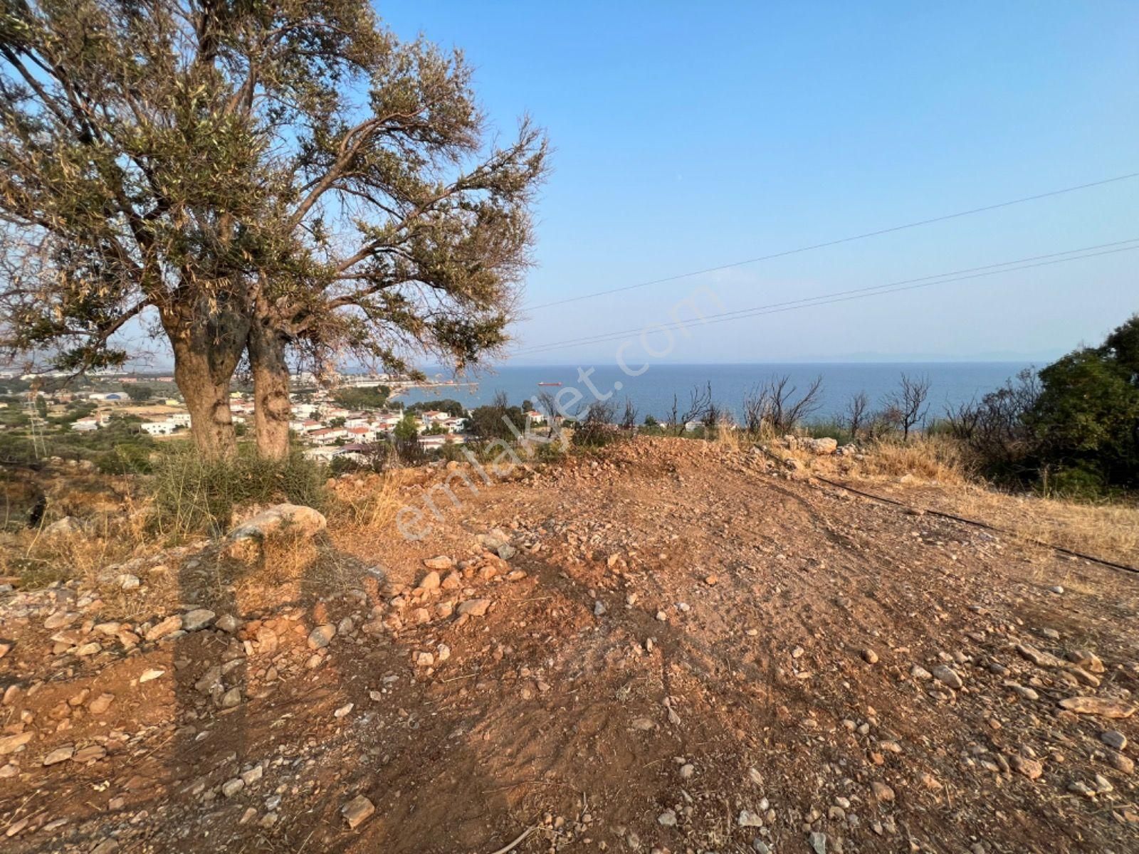 Milas Türkevleri Full Deniz Manzaralı Arsa - Görsel 4