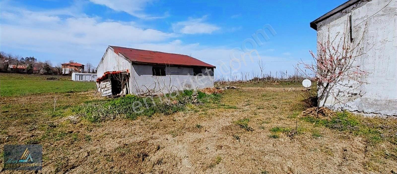 Mavi Atlas'tan Samsun Alaçam'da Satılık Müstakil Ev - Görsel 21