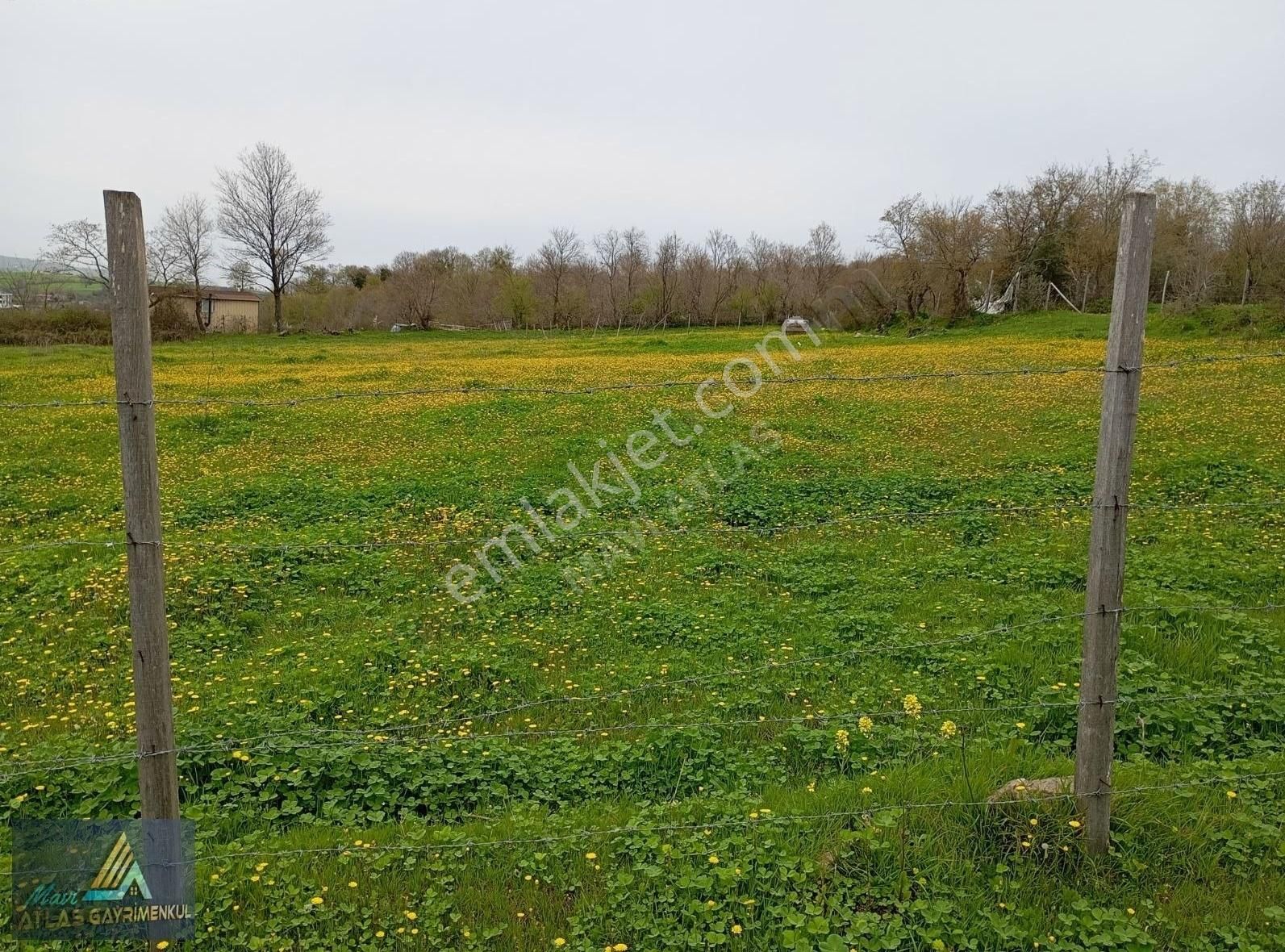 Mavi Atlas Gayrimenkul İncesu'da Îmar Sınırında Tek Tapulu Tarla