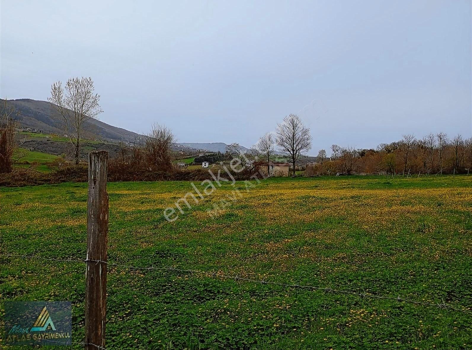 Mavi Atlas Gayrimenkul İncesu'da Îmar Sınırında Tek Tapulu Tarla - Görsel 4