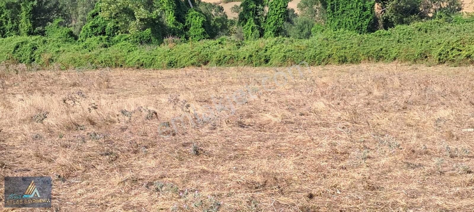 Mavi Atlas Gayrimenkul İncesu'da Îmar Sınırında Tek Tapulu Tarla - Görsel 13