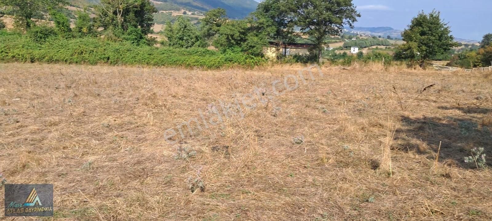 Mavi Atlas Gayrimenkul İncesu'da Îmar Sınırında Tek Tapulu Tarla - Görsel 7