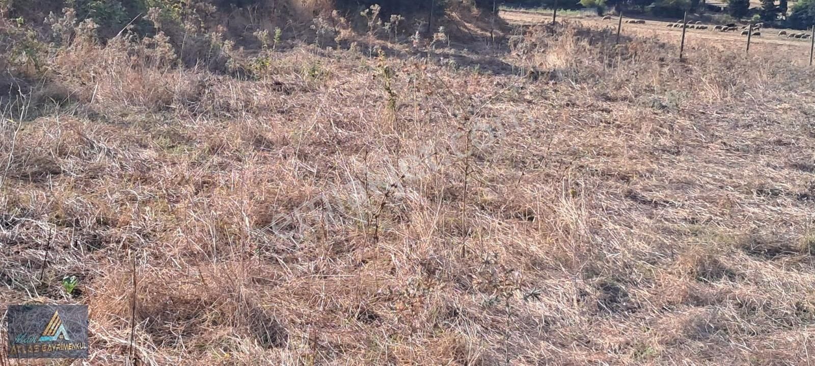 Mavi Atlas Gayrimenkul İncesu'da Îmar Sınırında Tek Tapulu Tarla - Görsel 6