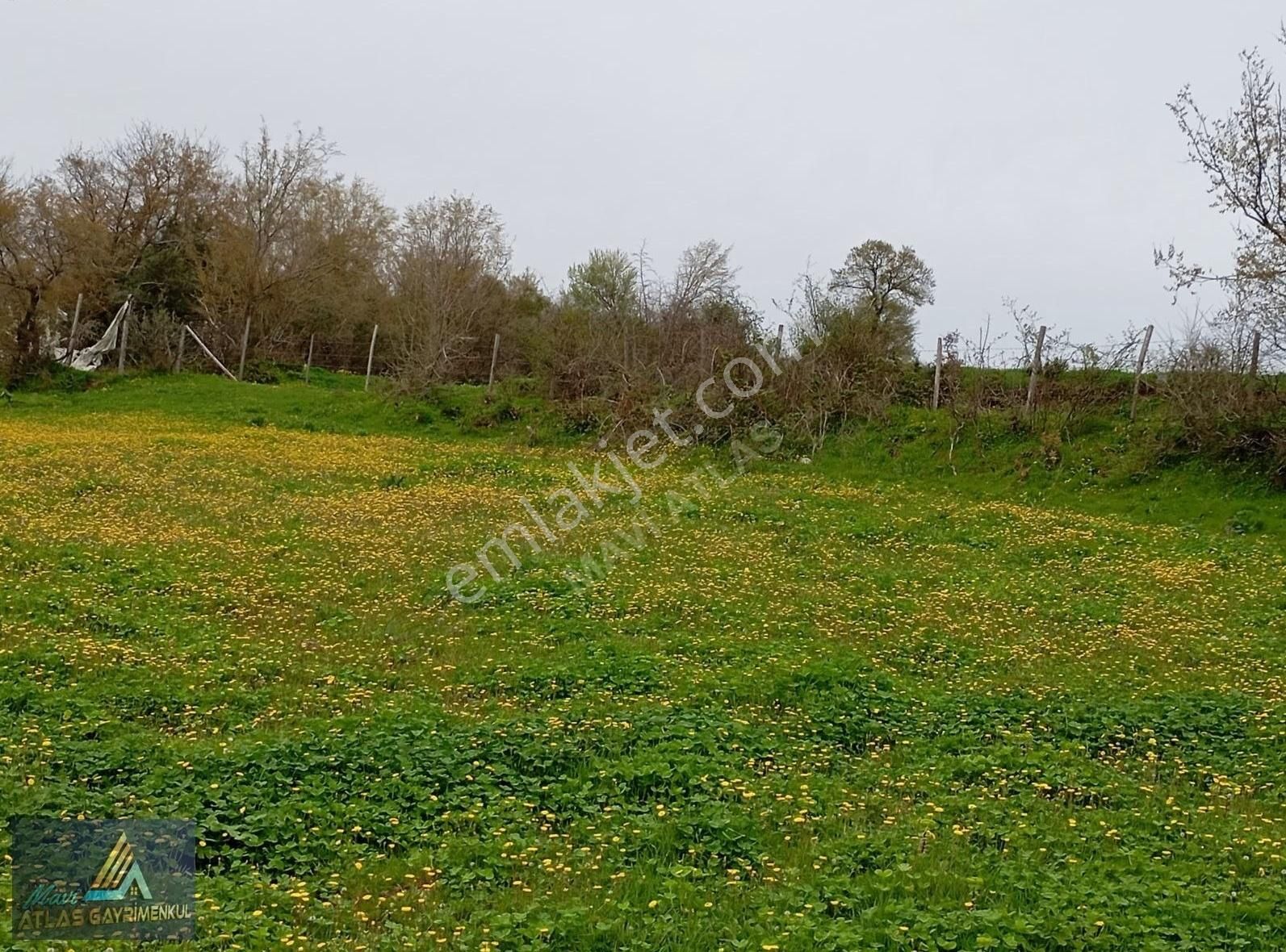 Mavi Atlas Gayrimenkul İncesu'da Îmar Sınırında Tek Tapulu Tarla - Görsel 16
