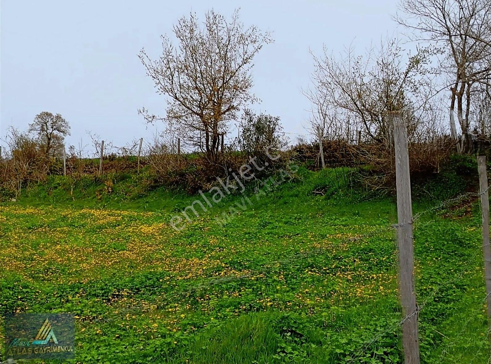 Mavi Atlas Gayrimenkul İncesu'da Îmar Sınırında Tek Tapulu Tarla - Görsel 15