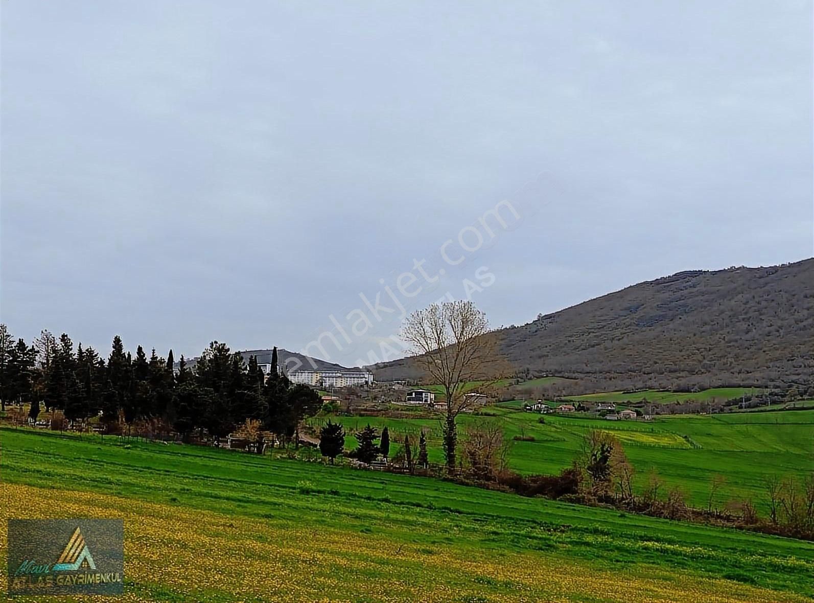 Mavi Atlas Gayrimenkul İncesu'da Îmar Sınırında Tek Tapulu Tarla - Görsel 12