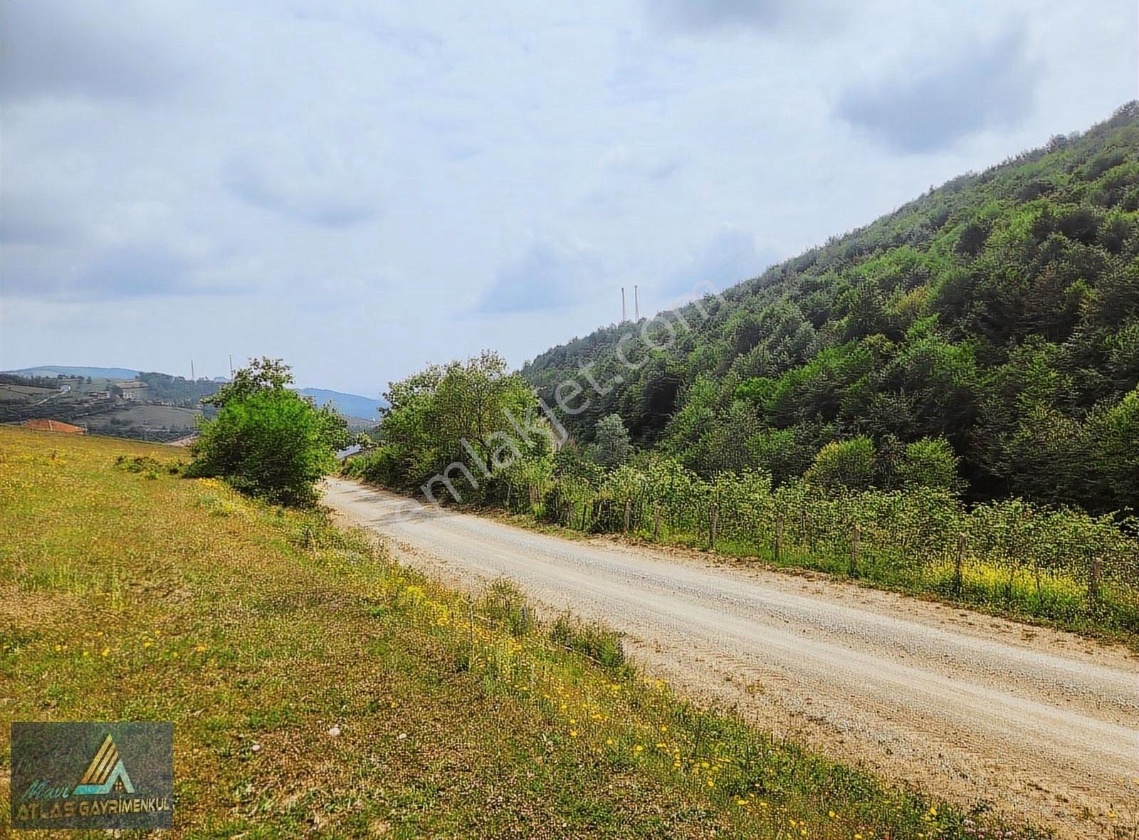 Mavi Atlas'tan Atakuma 20 Km Uzaklıkta Müstakil Tarla - Görsel 12