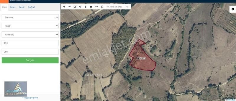 Mavi Atlastan Kavak Mahmutlu Da Satılık Tarla