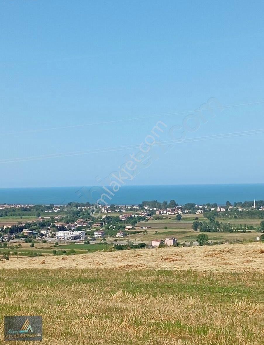 Mavi Atlas Turhan Karabel Den Kertme'de 4 Dönüm Fırsat Tarla