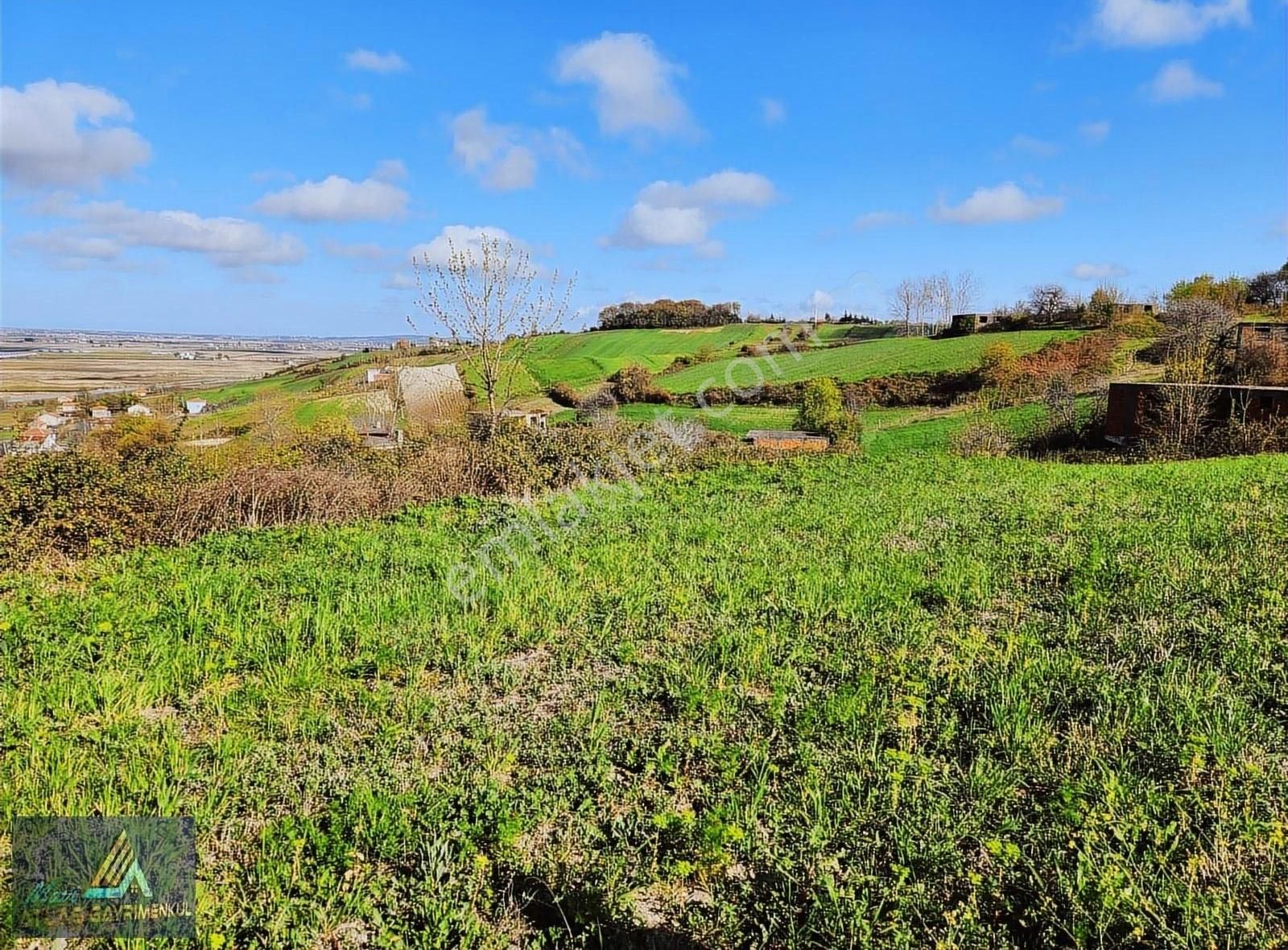 Mavi Atlastan Alaçam Yeniköy De Deniz Manzaralı Satılık Tarla - Görsel 8