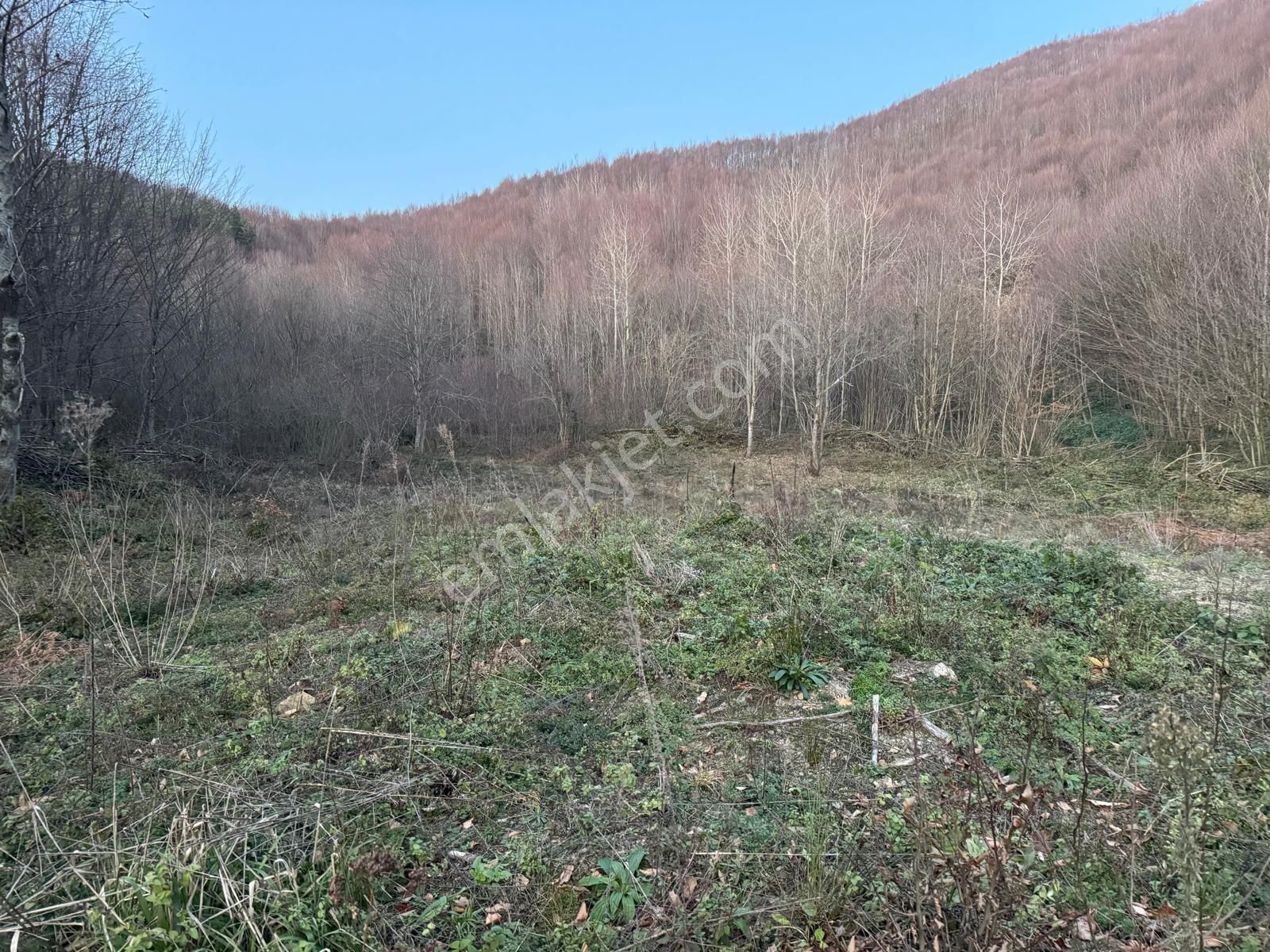 C21 İz Mehmet Çakar'dan İkramiye'de Yatırmlık Arazi - Görsel 3