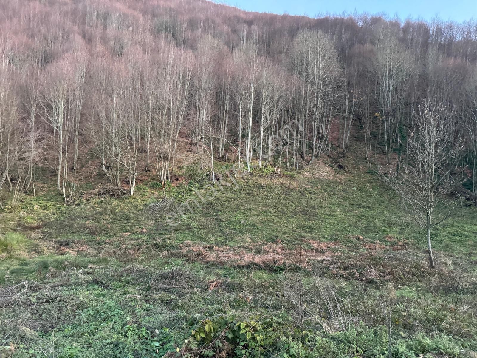 C21 İz Mehmet Çakar'dan İkramiye'de Yatırmlık Arazi - Görsel 5