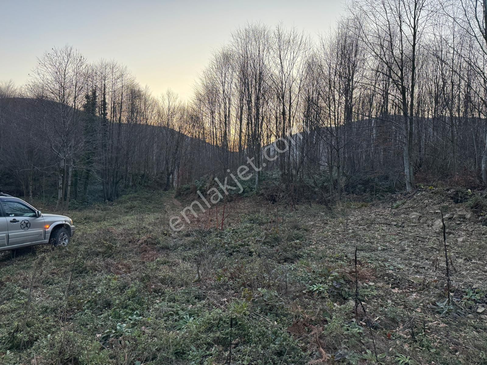 C21 İz Mehmet Çakar'dan İkramiye'de Yatırmlık Arazi - Görsel 4