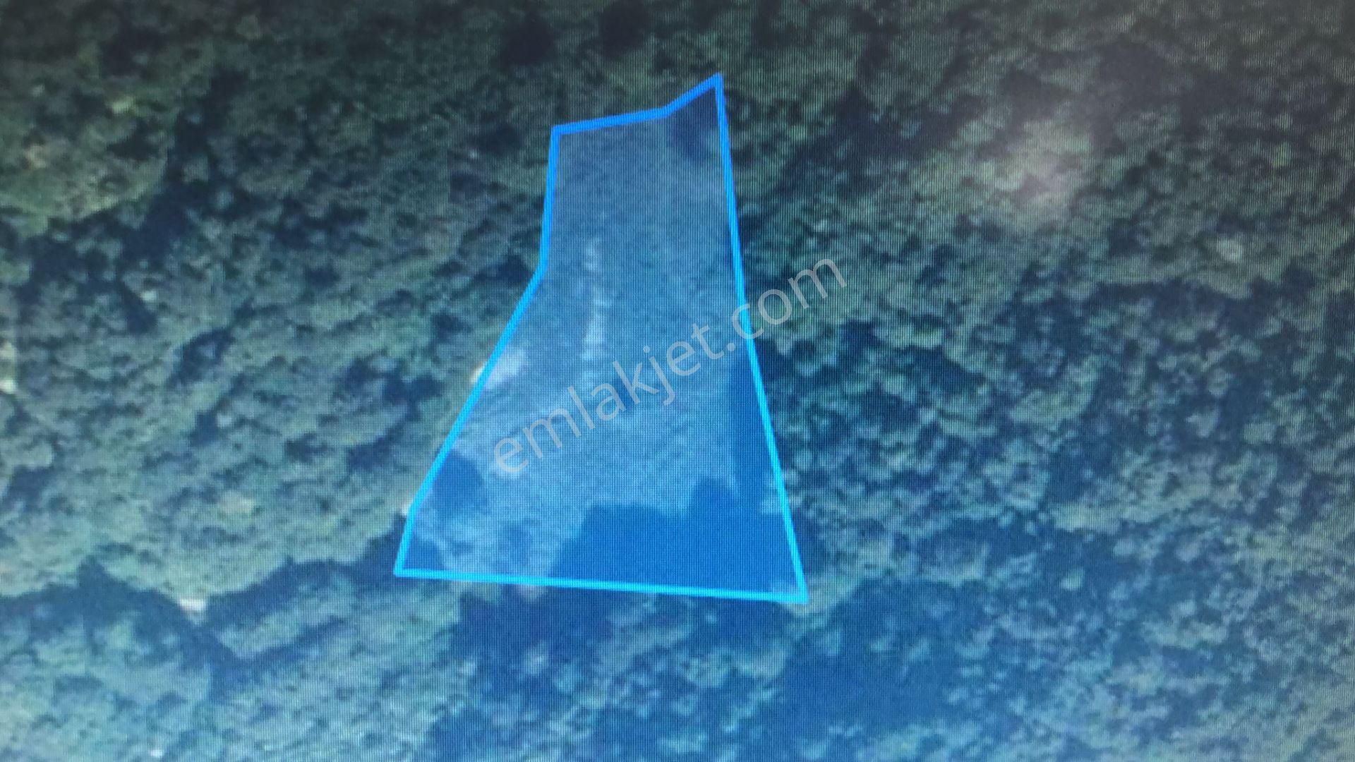 C21 İz Mehmet Çakar'dan İkramiye'de Yatırmlık Arazi