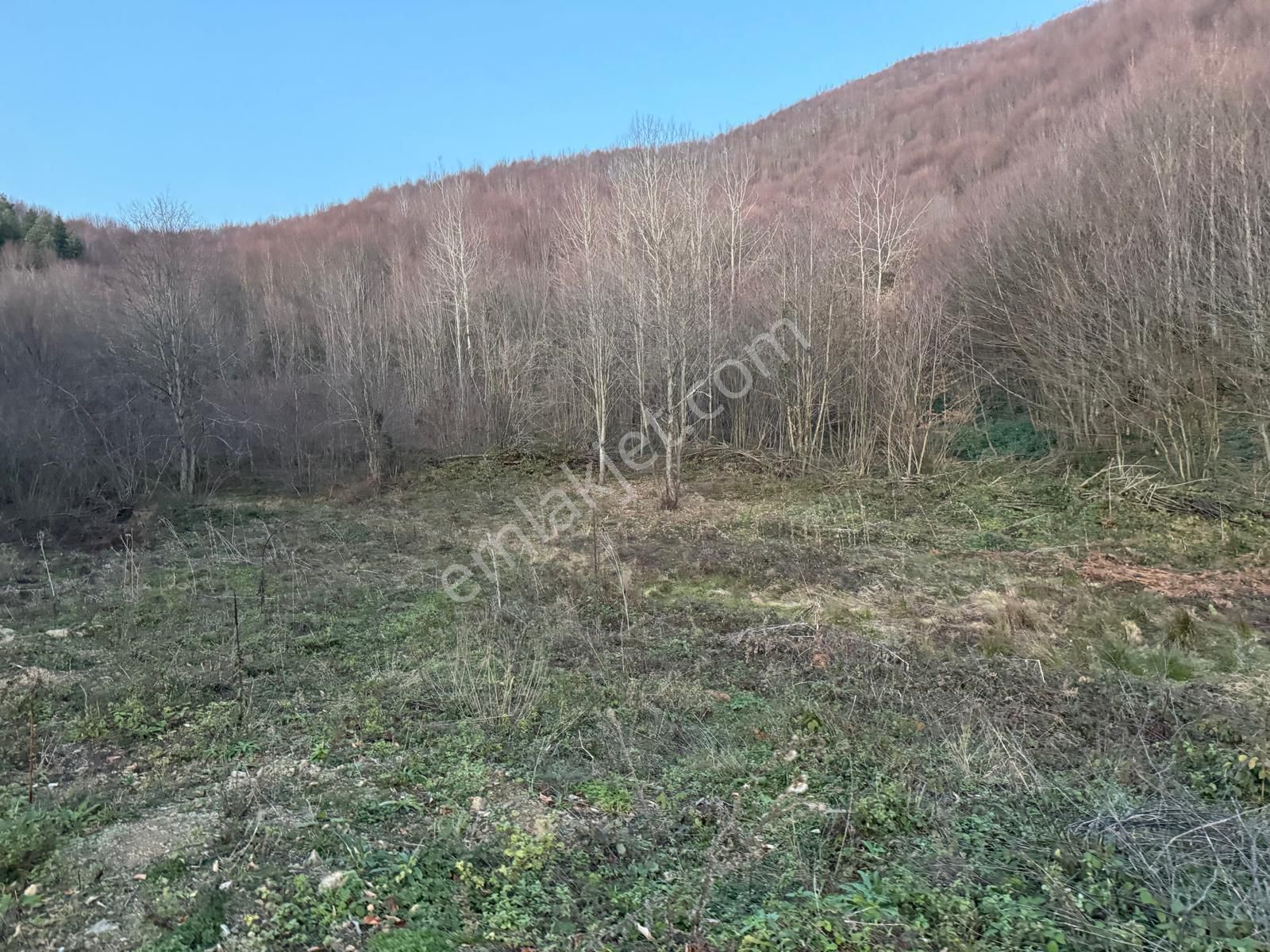 C21 İz Mehmet Çakar'dan İkramiye'de Yatırmlık Arazi - Görsel 7