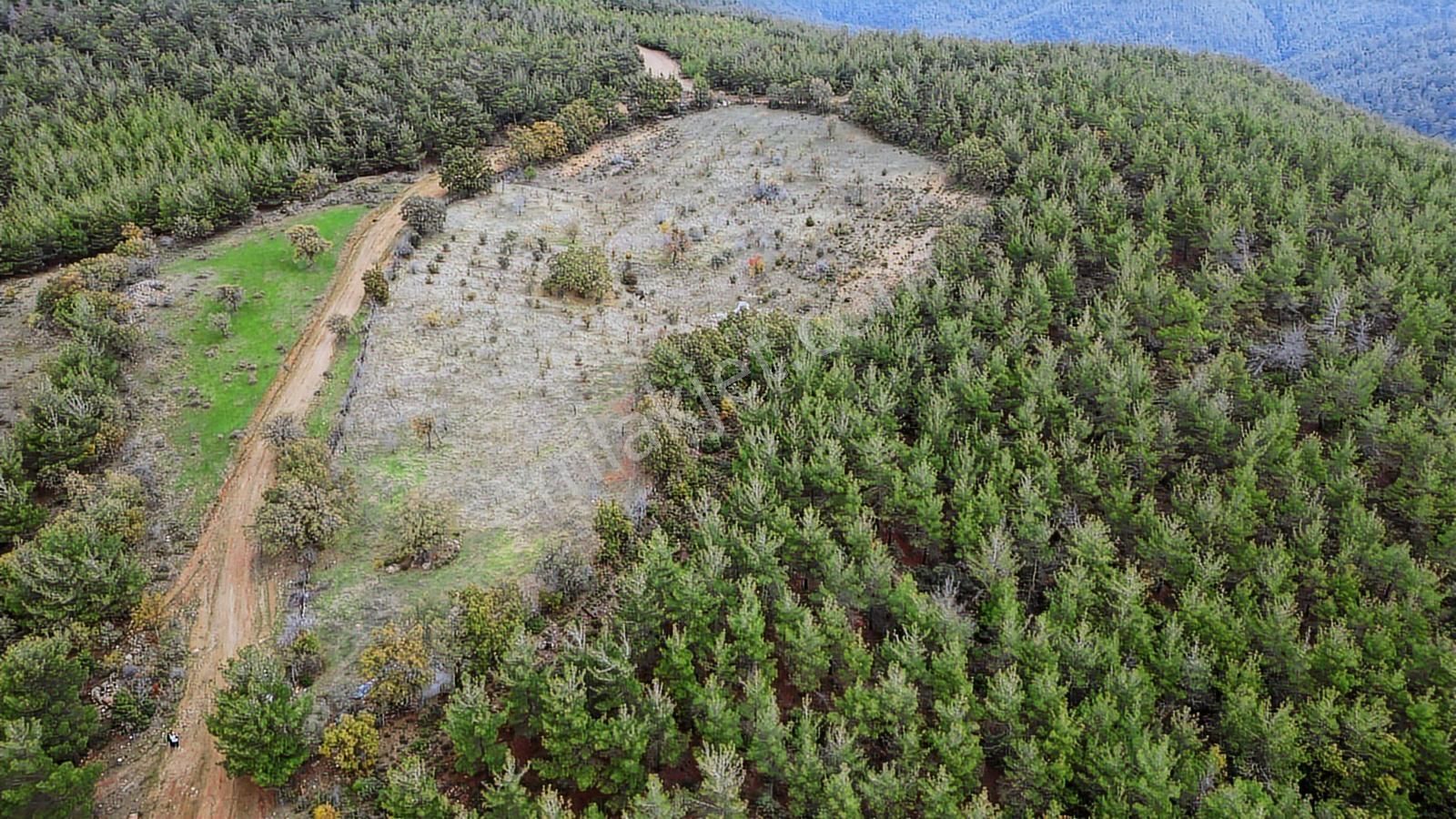 Doğayla İç İçe, Yola Cepheli Geniş Tarla! Karapınar 17.245 M² - Görsel 3