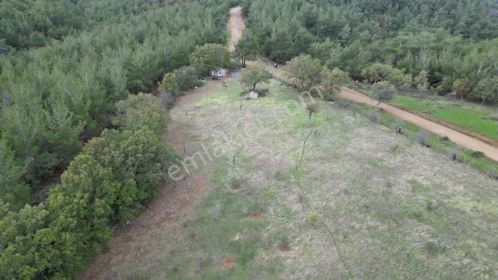 Doğayla İç İçe, Yola Cepheli Geniş Tarla! Karapınar 17.245 M² - Görsel 6