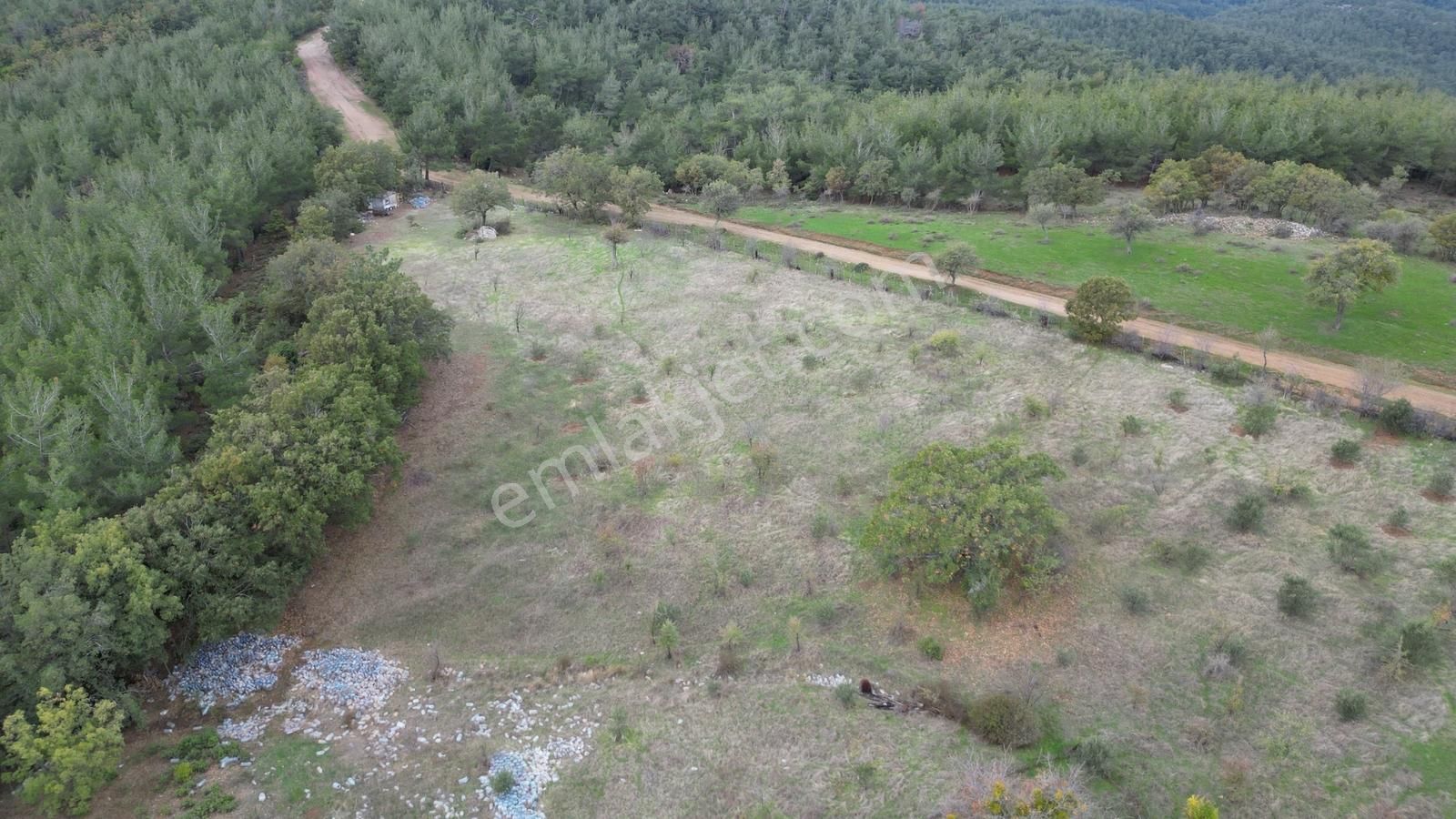 Doğayla İç İçe, Yola Cepheli Geniş Tarla! Karapınar 17.245 M² - Görsel 9