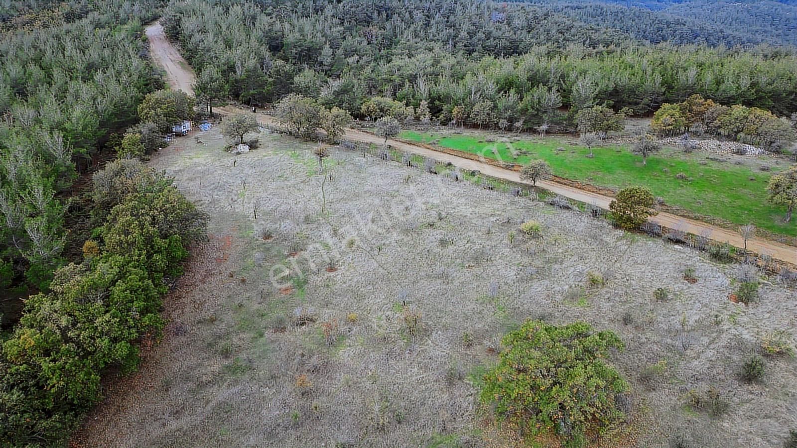 Doğayla İç İçe, Yola Cepheli Geniş Tarla! Karapınar 17.245 M² - Görsel 14