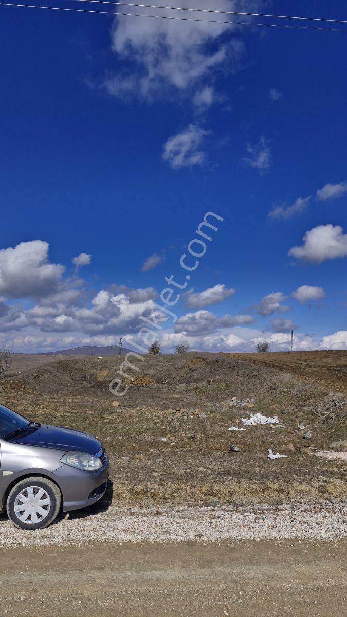 Karadere Hobı Bahcelerı Arasında Yola Sıfır Satılık 5500m2 Tarla - Görsel 3