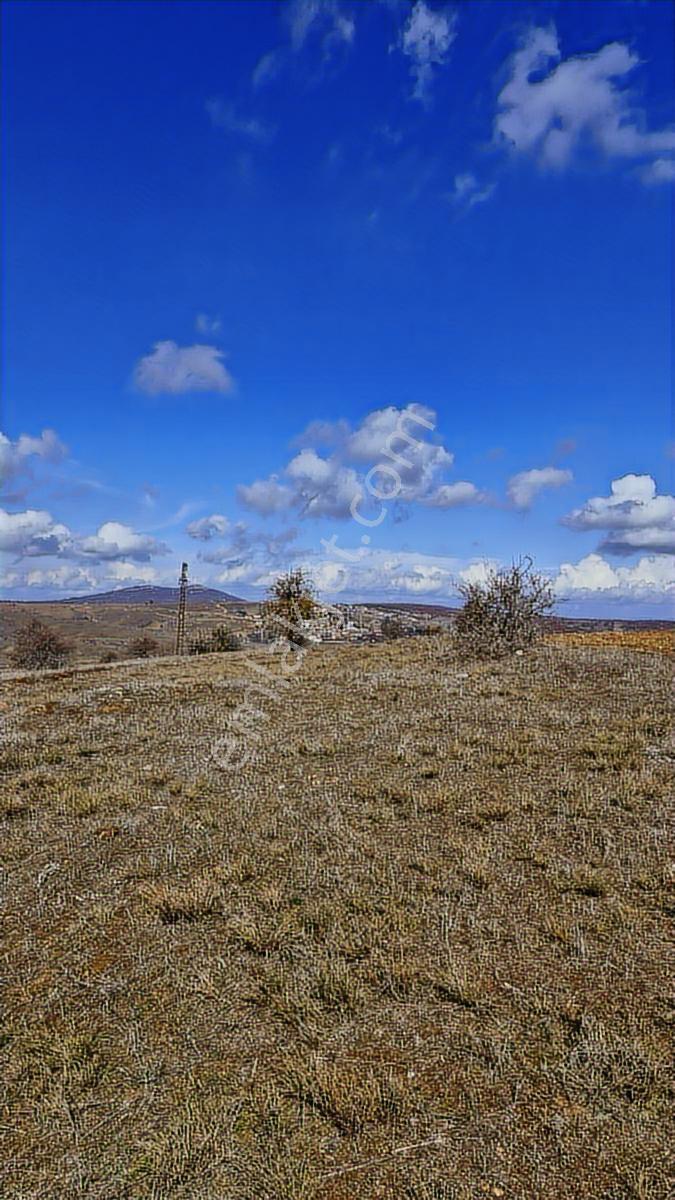Karadere Hobı Bahcelerı Arasında Yola Sıfır Satılık 5500m2 Tarla - Görsel 14