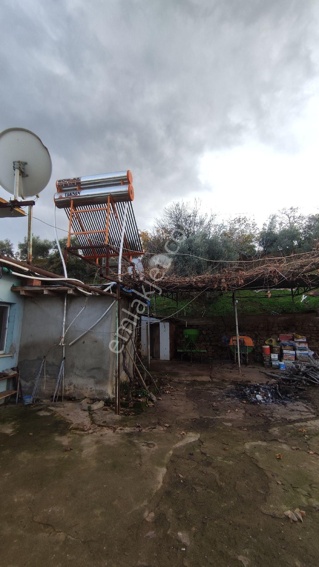 Salihli Yağmurlar Mahallesi'nde Satılık Köy Evi Ve Zeytinlik - Görsel 14