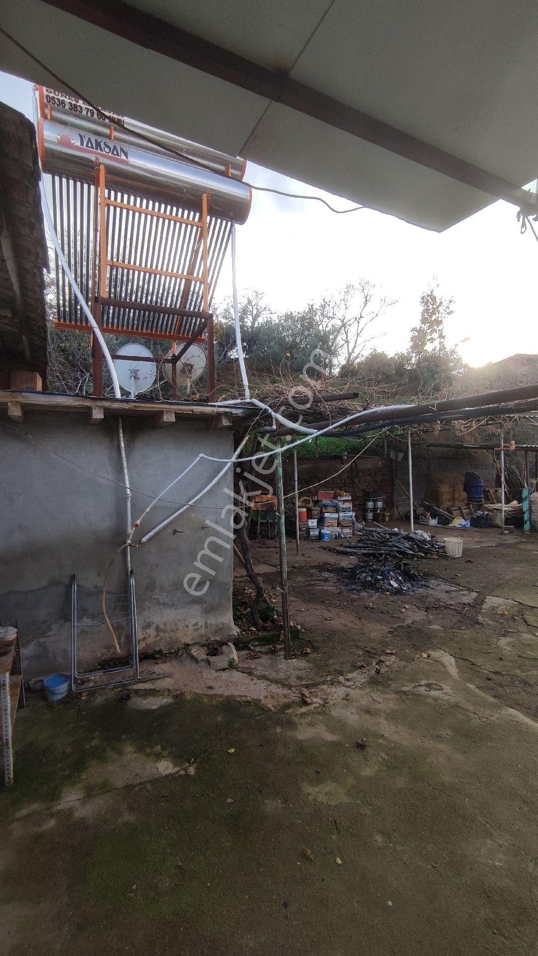 Salihli Yağmurlar Mahallesi'nde Satılık Köy Evi Ve Zeytinlik - Görsel 9