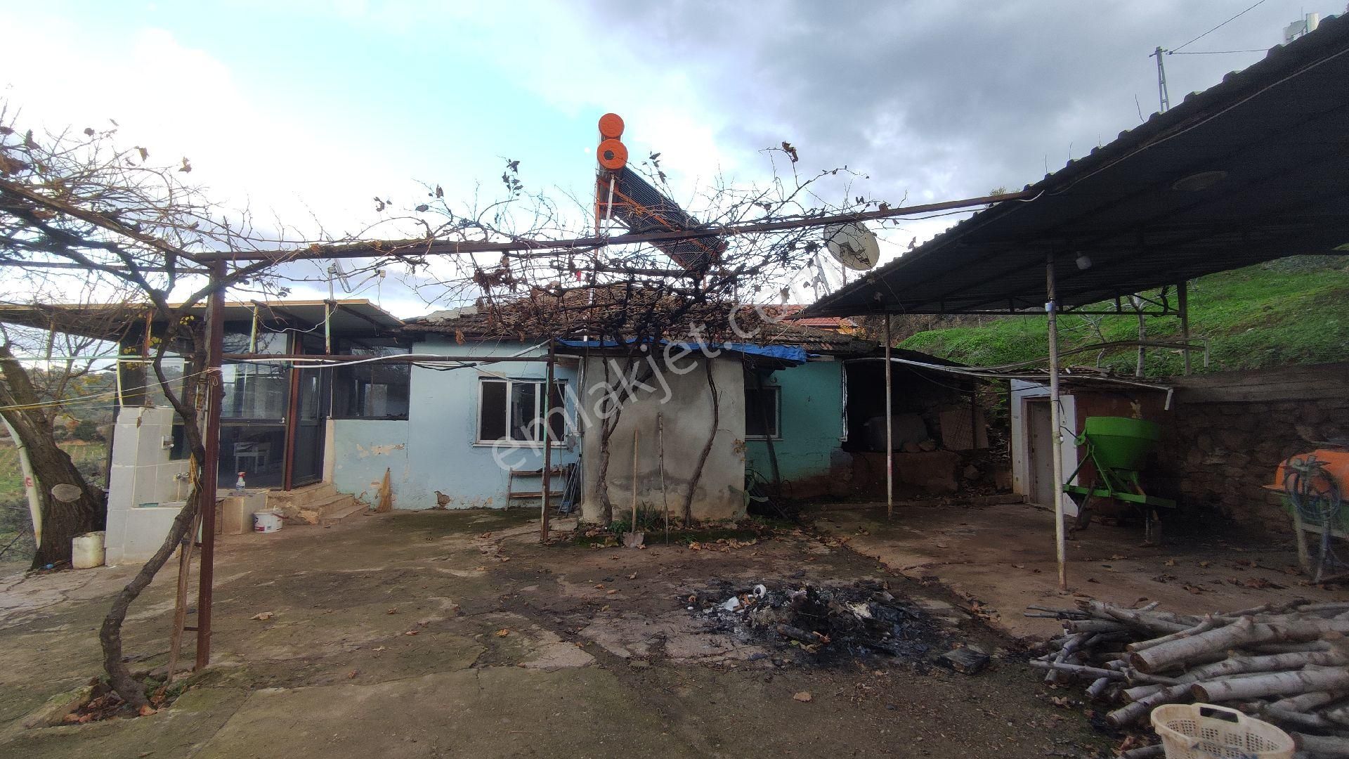 Salihli Yağmurlar Mahallesi'nde Satılık Köy Evi Ve Zeytinlik