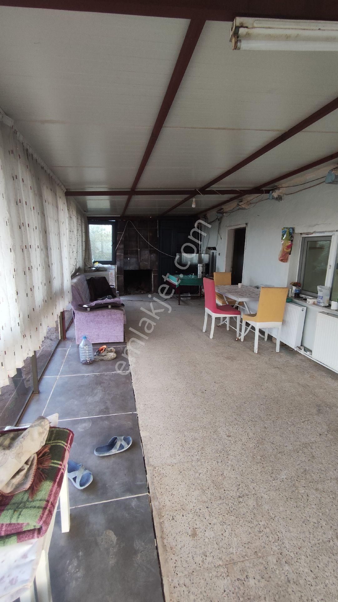 Salihli Yağmurlar Mahallesi'nde Satılık Köy Evi Ve Zeytinlik - Görsel 4