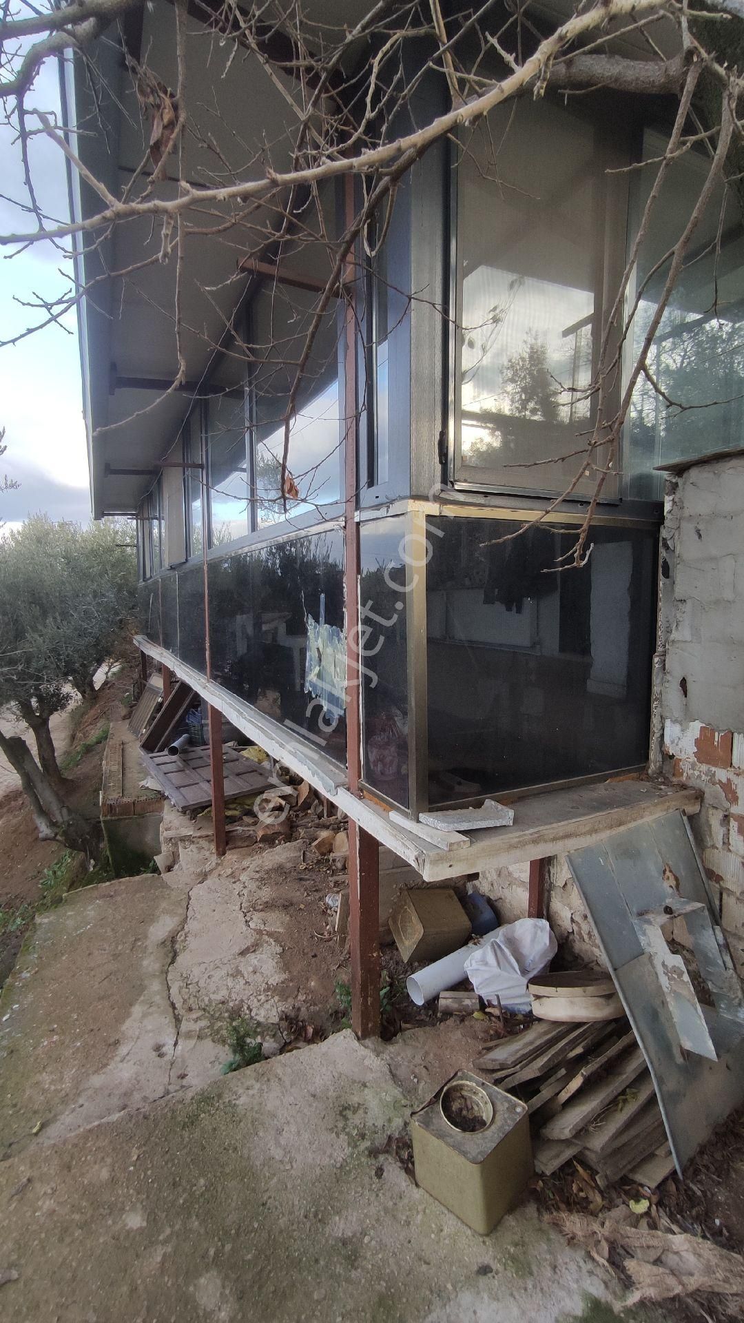 Salihli Yağmurlar Mahallesi'nde Satılık Köy Evi Ve Zeytinlik - Görsel 12