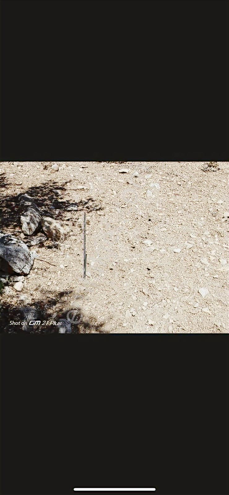 Yayla Seki Yenice Mevkiinde Satılık Tarla - Görsel 12
