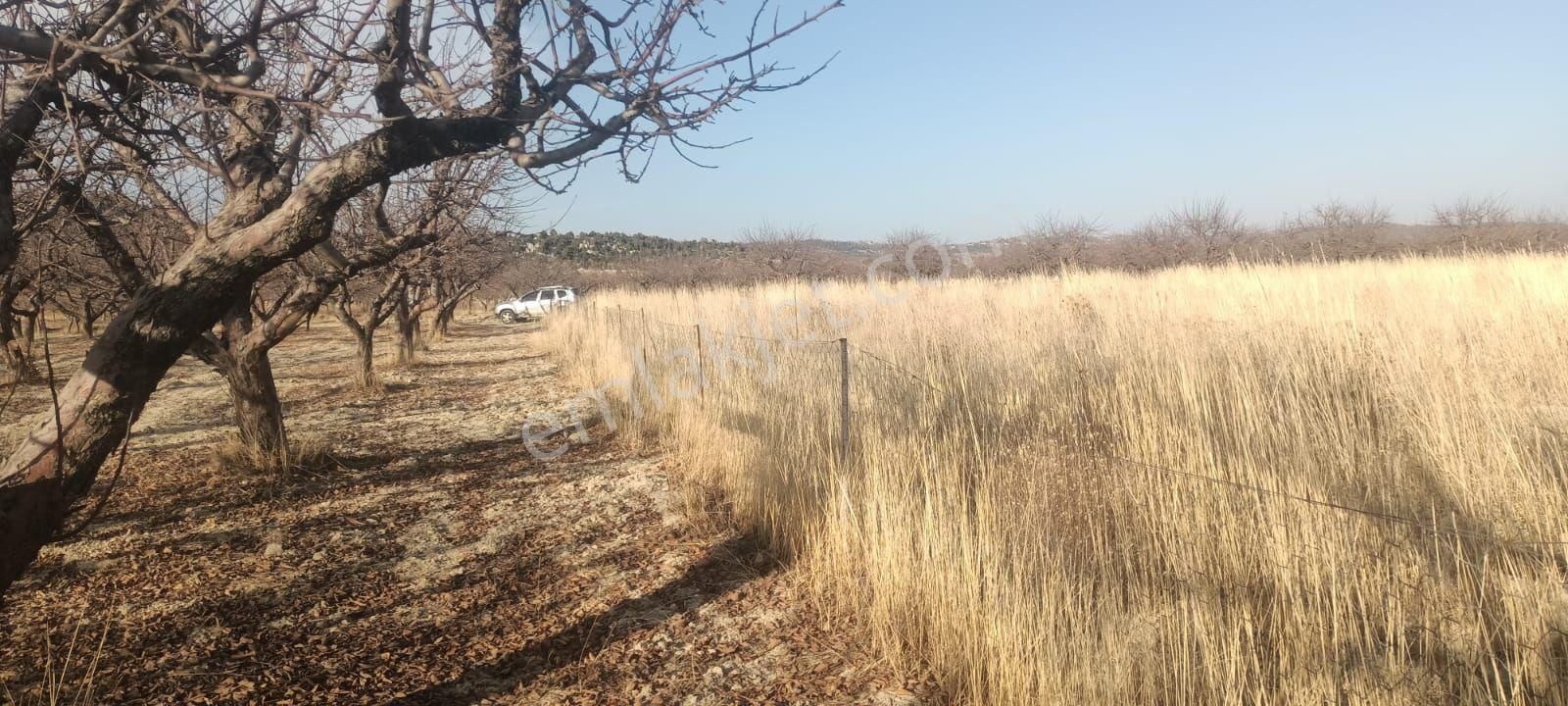 Aydıncık Emlaktan Satılık Elma Bahçesi - Görsel 27