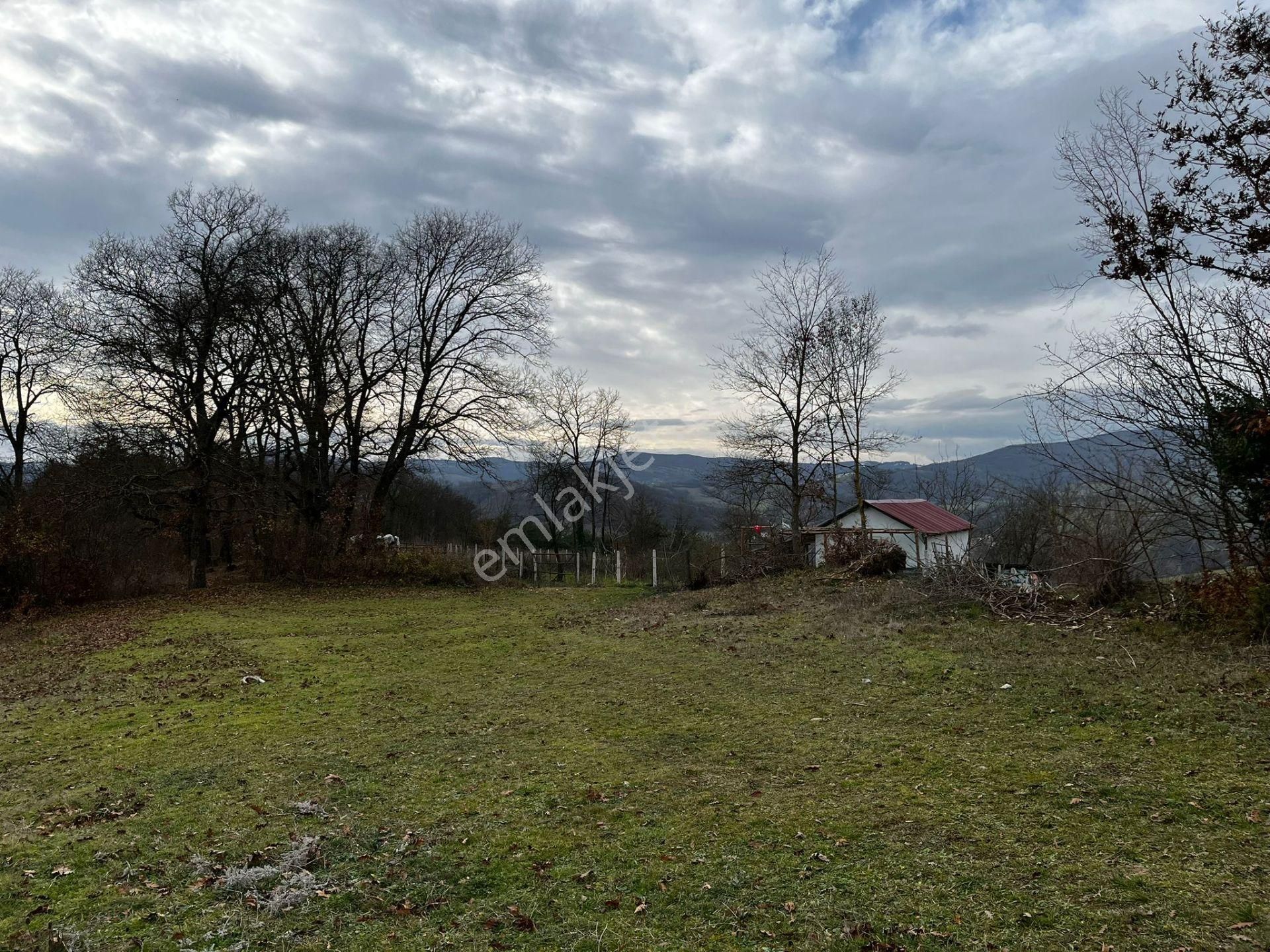 Akgün Kurumsal'dan Çakallı'da Satılık 5415 M2 Tarla - Görsel 8