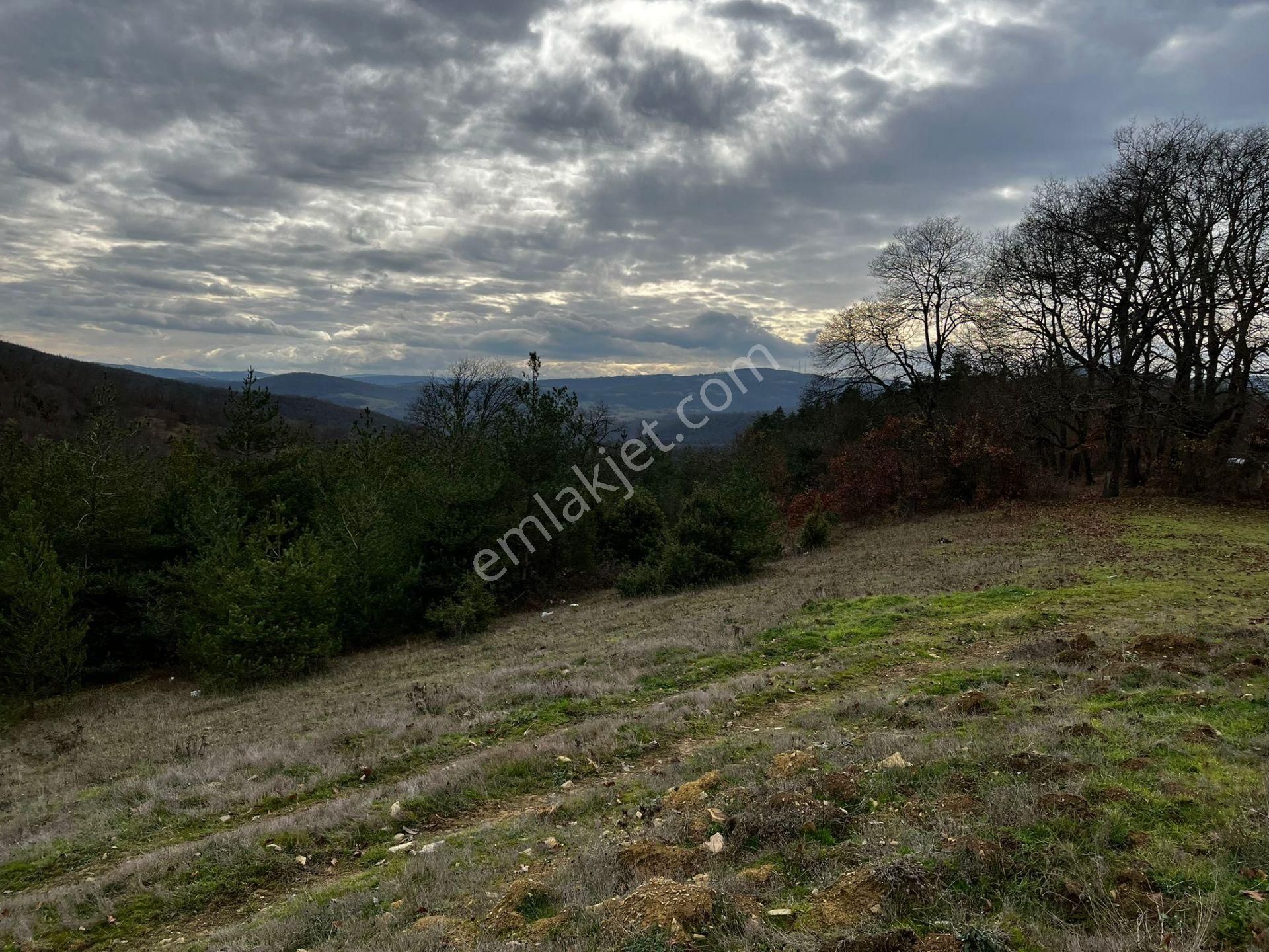 Akgün Kurumsal'dan Çakallı'da Satılık 5415 M2 Tarla - Görsel 14