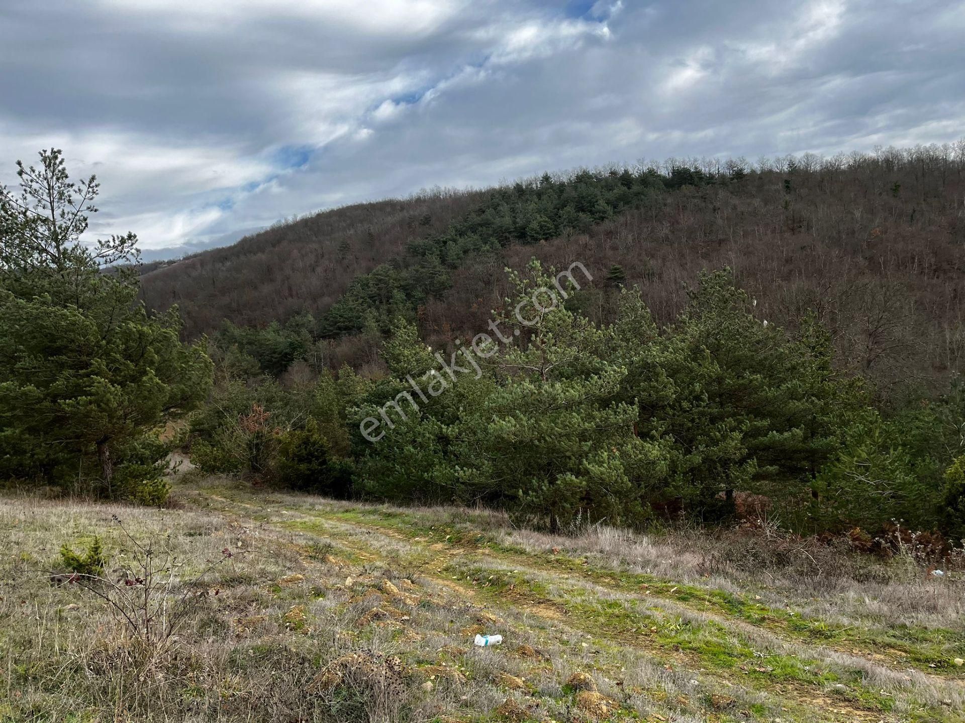 Akgün Kurumsal'dan Çakallı'da Satılık 5415 M2 Tarla - Görsel 10