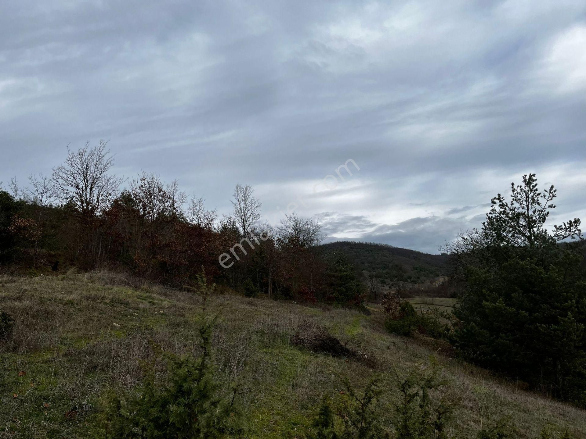 Akgün Kurumsal'dan Çakallı'da Satılık 5415 M2 Tarla - Görsel 7