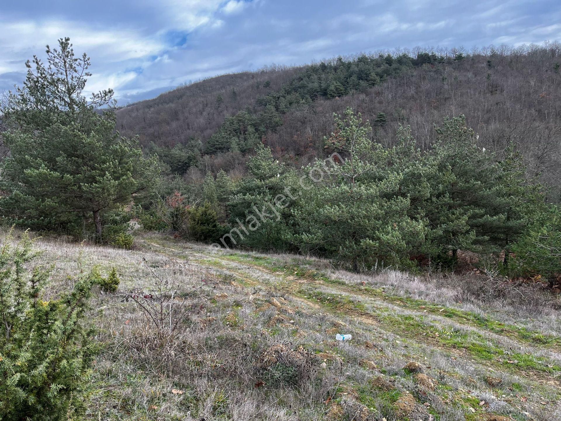 Akgün Kurumsal'dan Çakallı'da Satılık 5415 M2 Tarla - Görsel 13