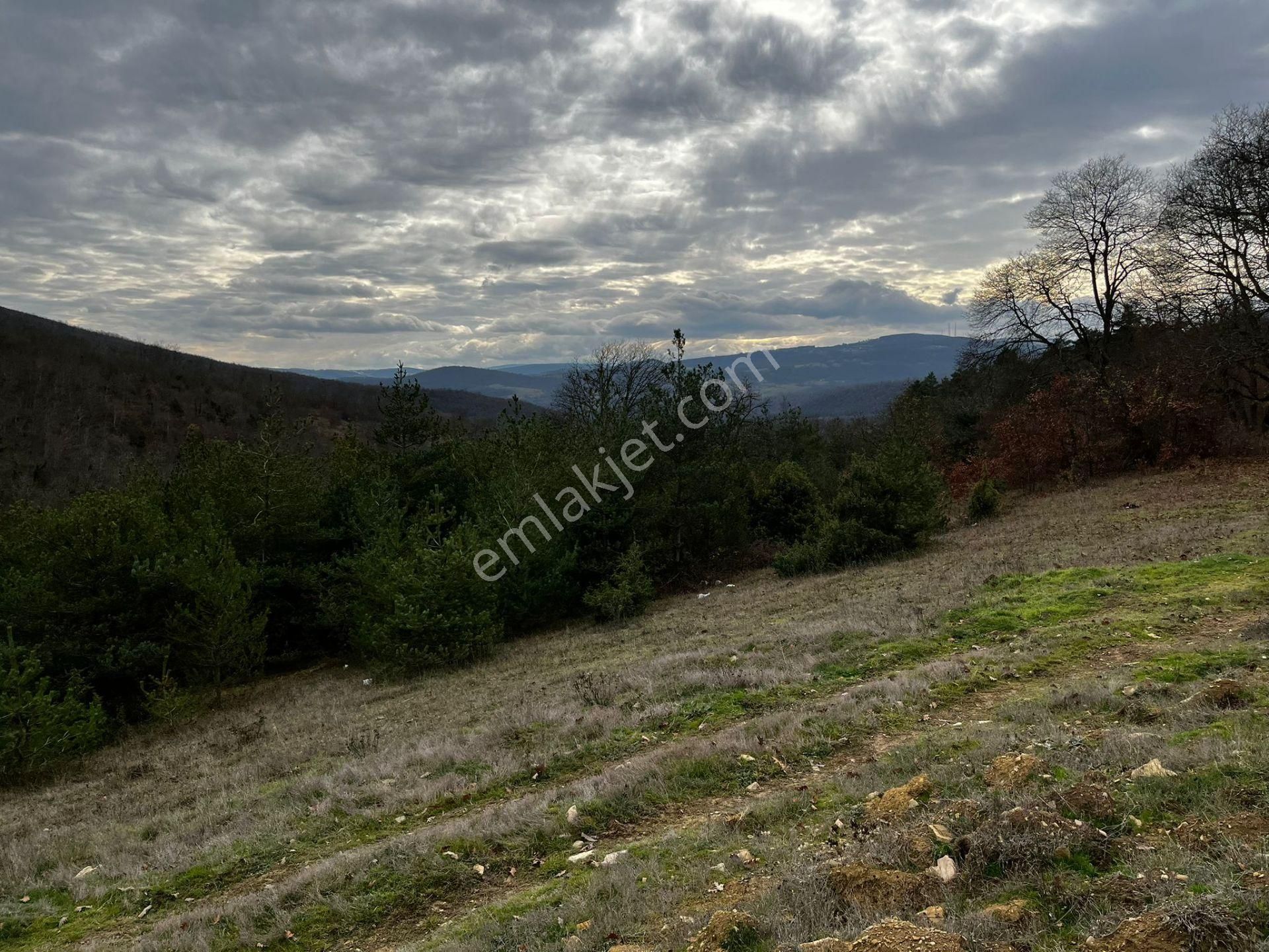 Akgün Kurumsal'dan Çakallı'da Satılık 5415 M2 Tarla - Görsel 12