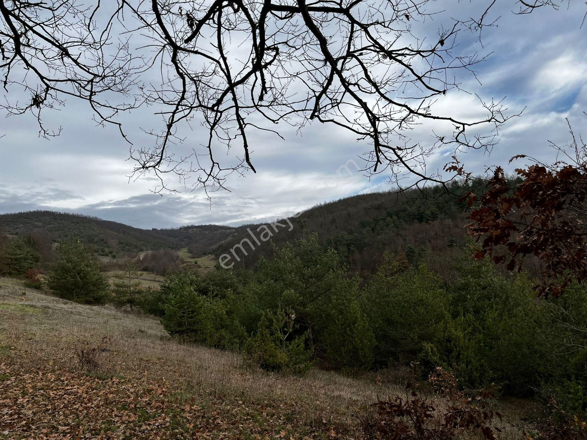 Akgün Kurumsal'dan Çakallı'da Satılık 5415 M2 Tarla