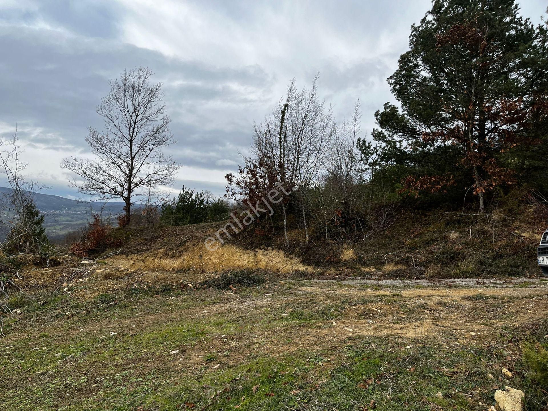 Akgün Kurumsal'dan Çakallı'da Satılık 5415 M2 Tarla - Görsel 19