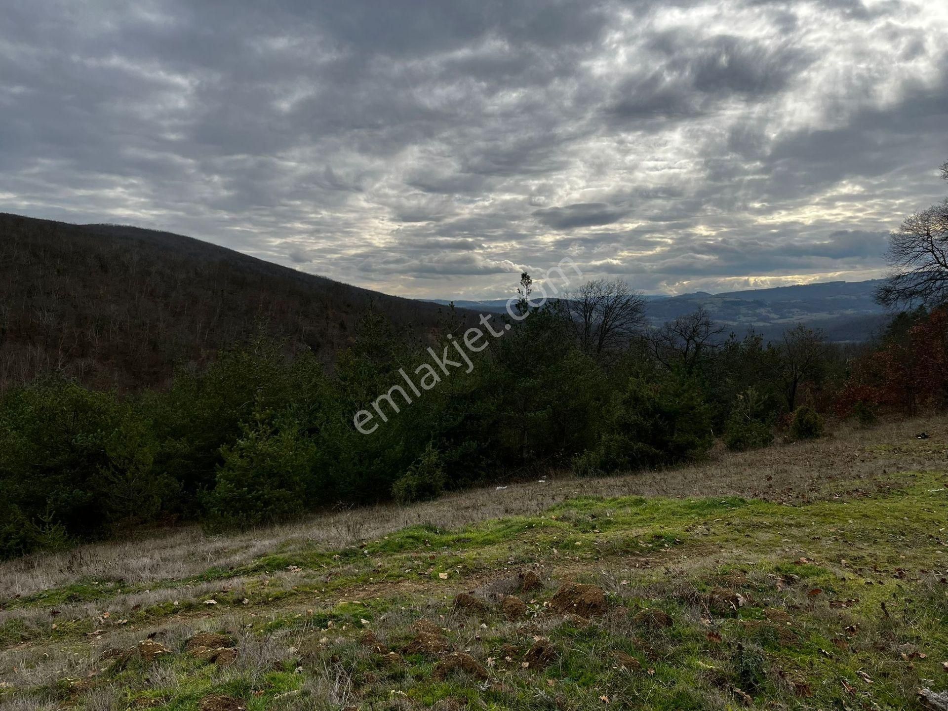 Akgün Kurumsal'dan Çakallı'da Satılık 5415 M2 Tarla - Görsel 4