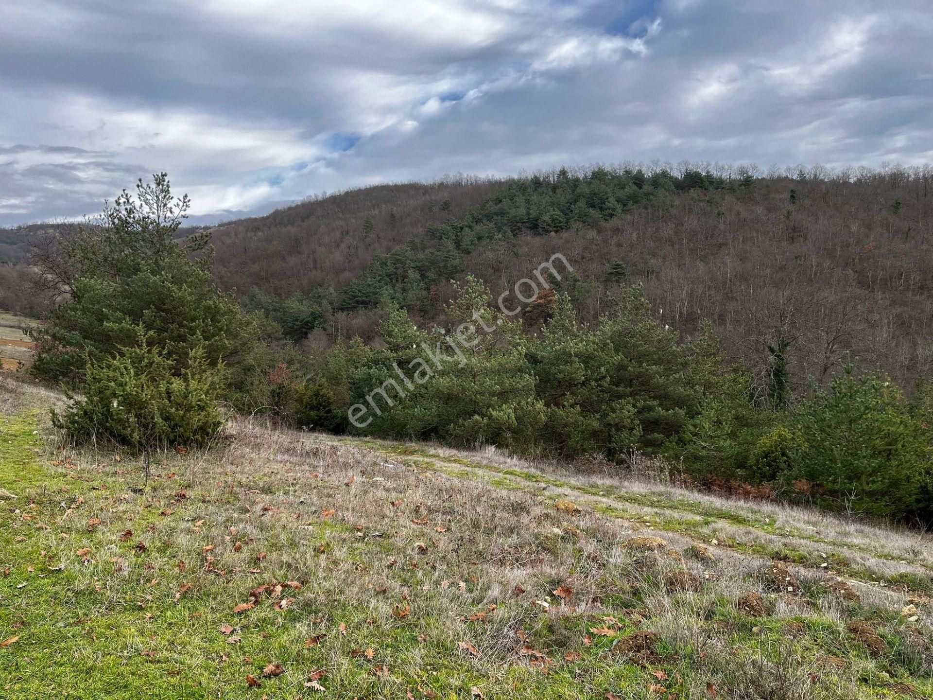 Akgün Kurumsal'dan Çakallı'da Satılık 5415 M2 Tarla - Görsel 9