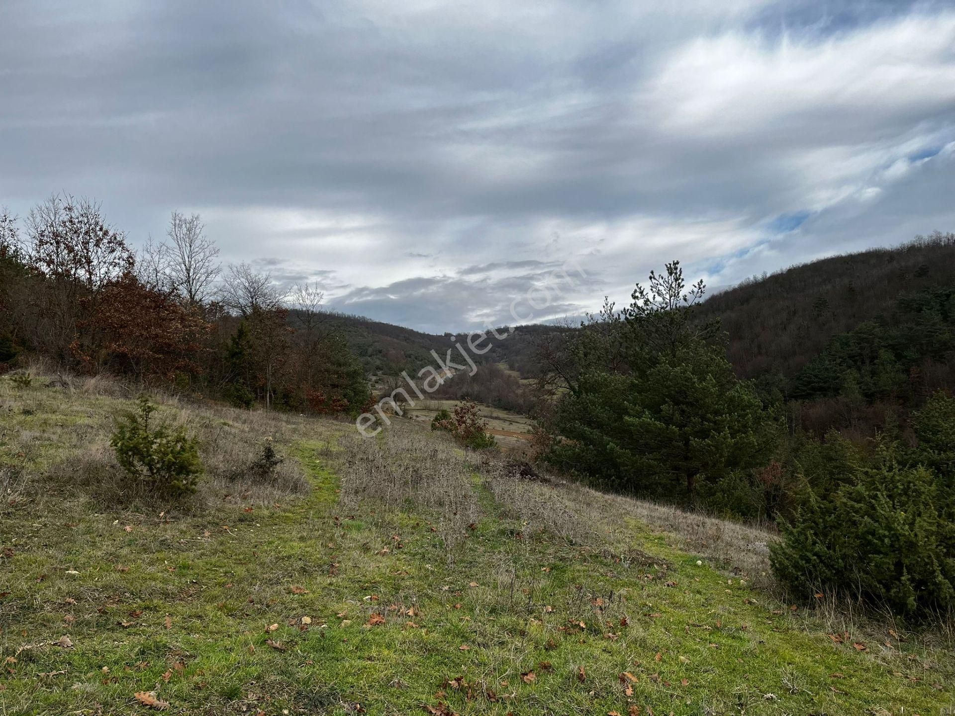 Akgün Kurumsal'dan Çakallı'da Satılık 5415 M2 Tarla - Görsel 5