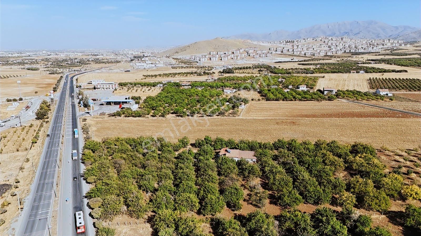 Coldwell Banker Safir'den Kiralık Ana Yola Sıfır Cepheli Tarla - Görsel 8