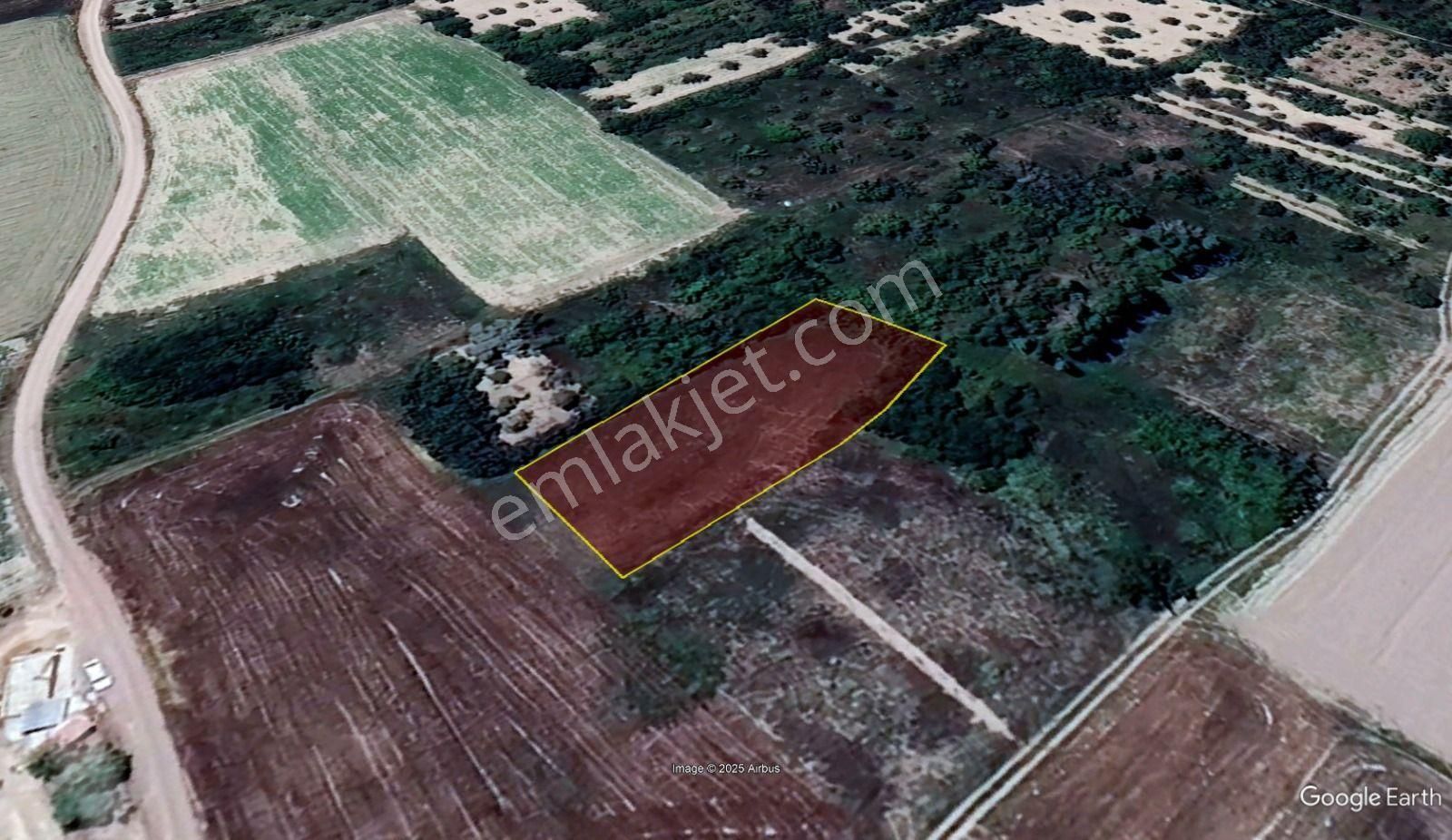 Konya / Meram / Hatunsaray Mahallesinde 1.302 M² Müstakil Tapulu Tarla Niteliğinde