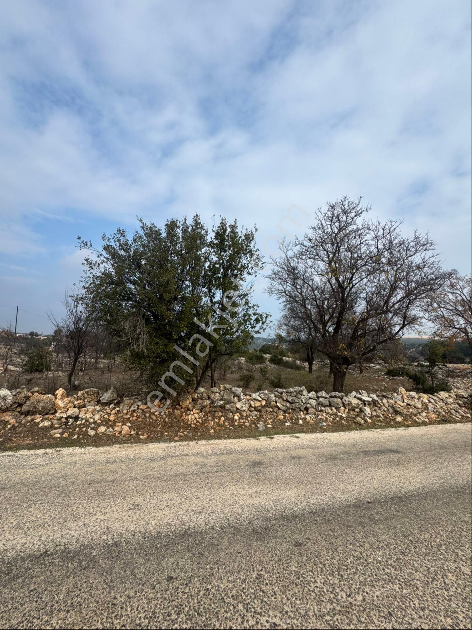 Silifke Cambazlıda 7 Dönüm Arazi - Görsel 4