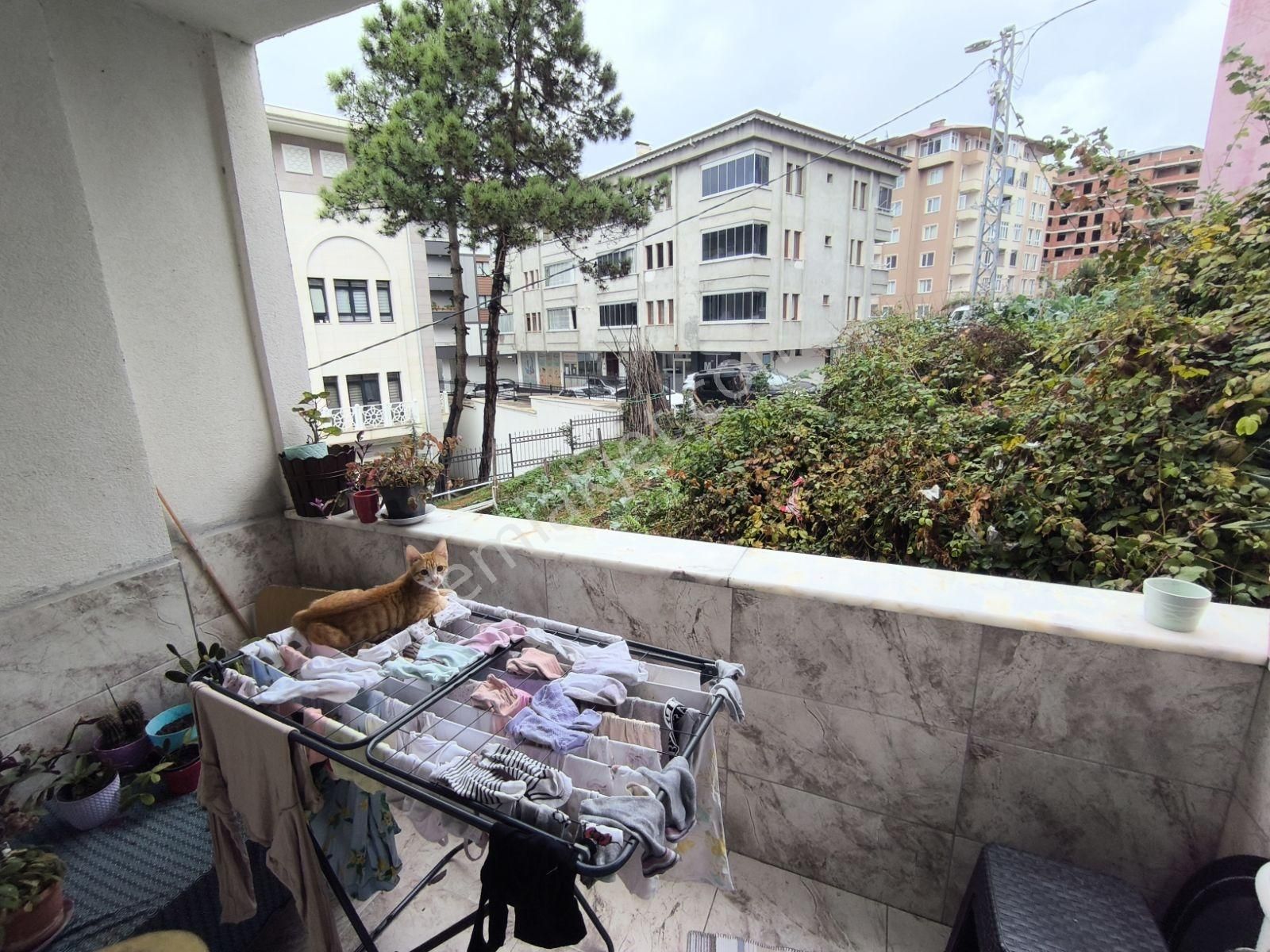 Trabzon Arsinde Dublex Yüksek Gelirli Daire - Görsel 15